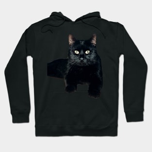 The gourmet cat Hoodie